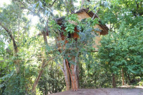  Tree House-Midigama  Weligama